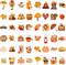 101 PCS Thanksgiving Fall Stickers (Orange) 4.8 x 2.91 x 0.55 inches
